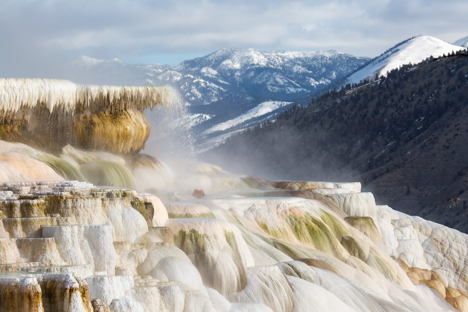 Travertine terraces at Mammoth Hot Springs