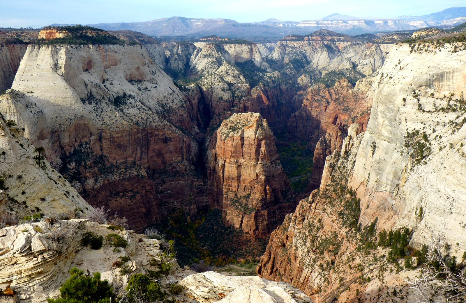 The Angels Landing fin rising above Zion Canyon