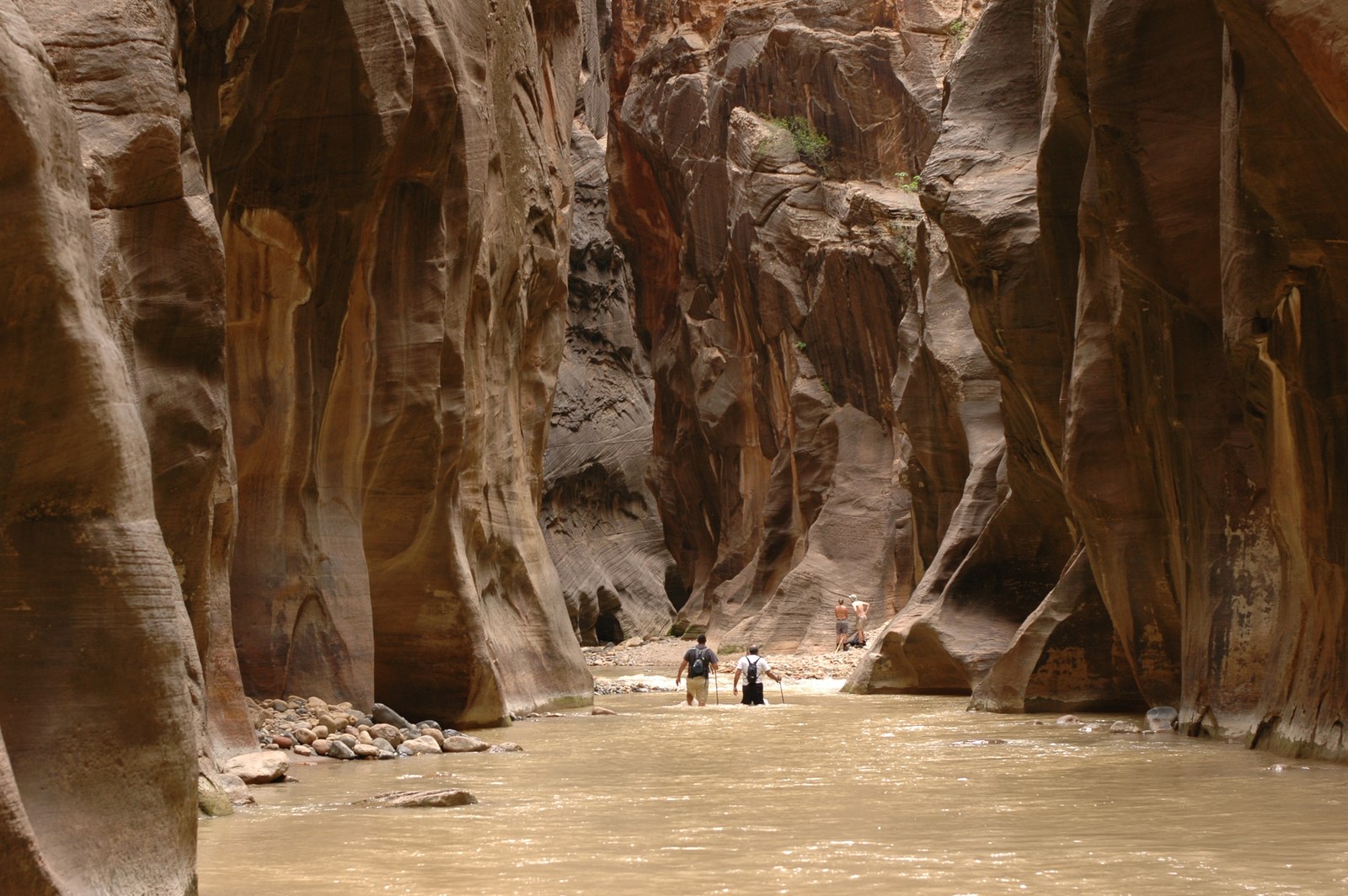 The Virgin River running between the sculpted walls of the Narrows