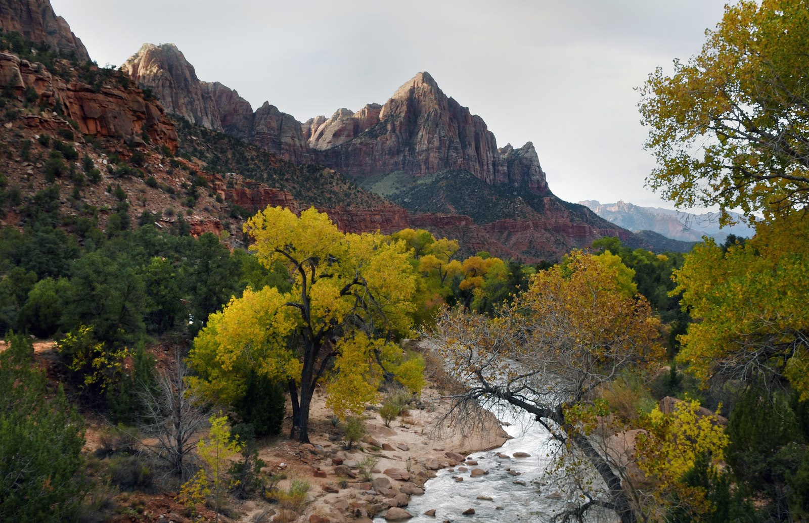 The Watchman above the Virgin River in fall color